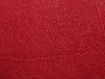 Primavera rosso 11